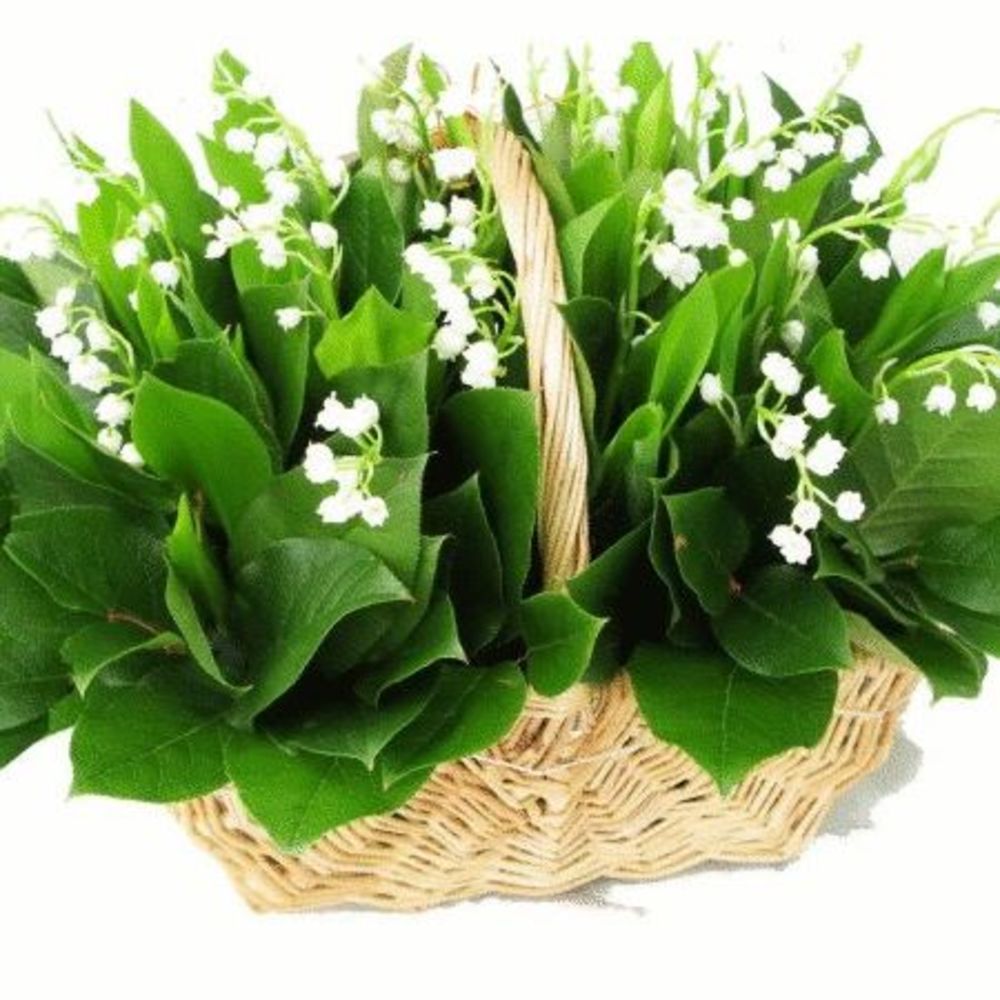 Meet your Posher, Mia